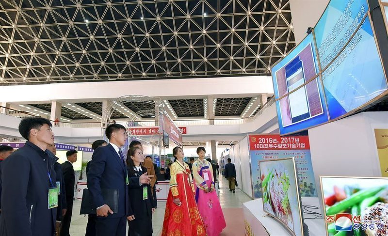 할루시네이션이란 — 모델 성능 벤치마크 비교 차트