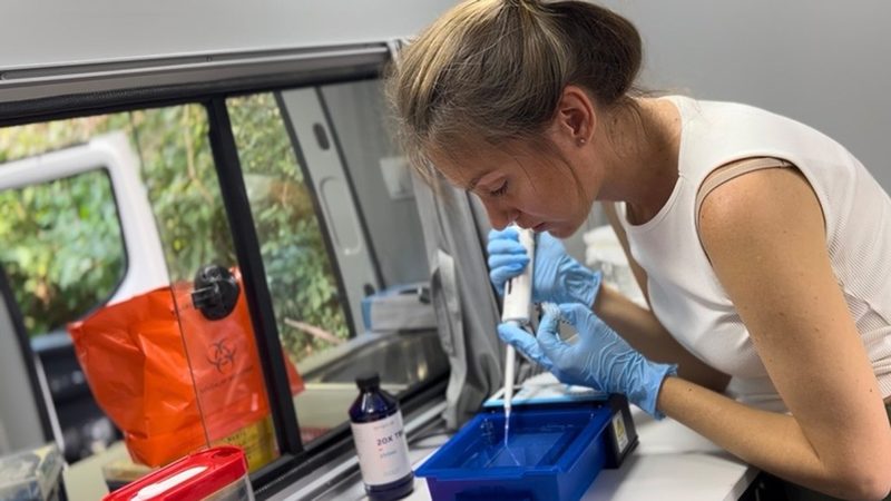 Runes vs Hooks — 반응성 모델의 근본 차이 — 컴포넌트 아키텍처 다이어그램