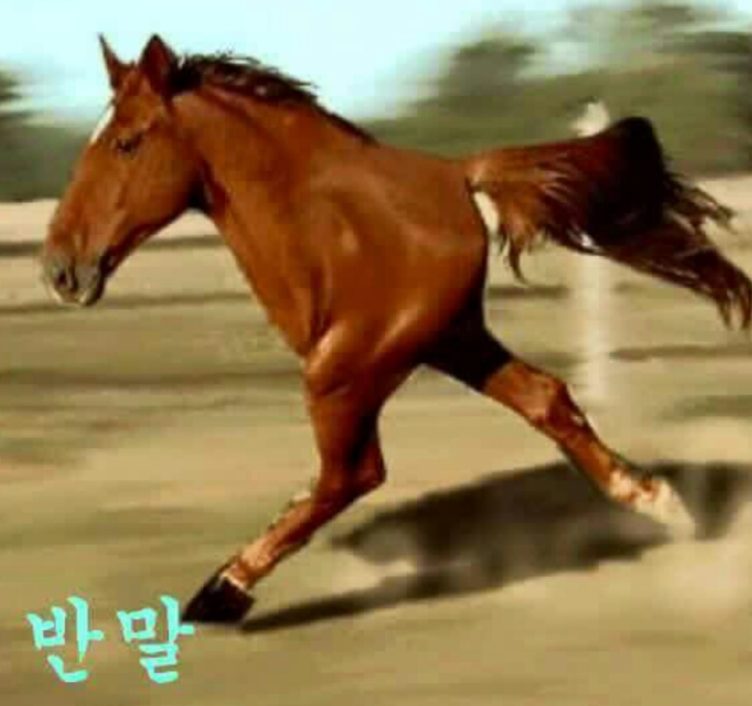 Zod 기본 스키마 정의 — 핵심 타입 총정리 — 프로젝트 구조 다이어그램