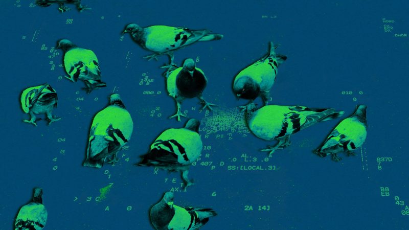 AI 코딩 벤치마크 비교 기준 5가지 관점 다이어그램