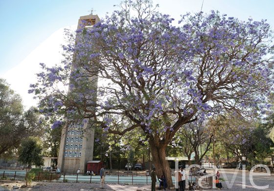 Axum 라우팅 모듈 구조 다이어그램