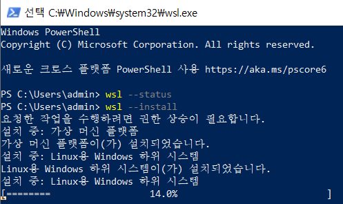 VS Code Remote WSL에서 Node.js 프로젝트를 열고 통합 터미널로 npm 명령을 실행하는 화면