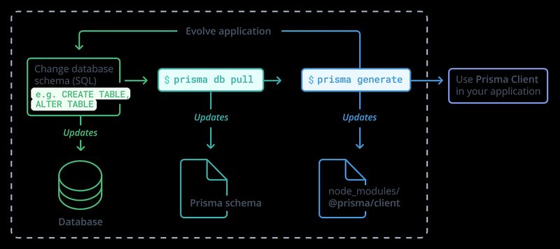 Prisma 초기화 후 생성된 프로젝트 파일 구조