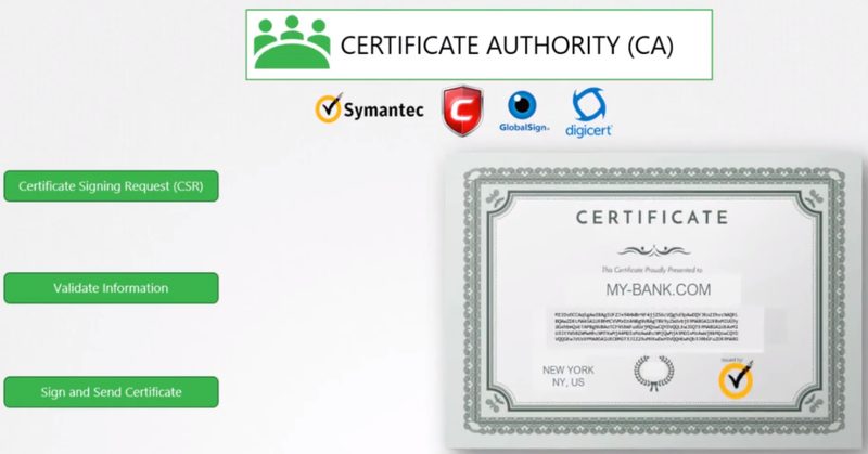로컬 mkcert HTTPS와 프리뷰 인증서 체인을 비교하는 개념 이미지