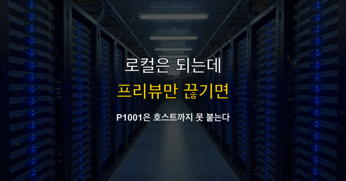 Prisma P1001, 데이터베이스 연결, Can't reach database | 로컬은 되고 프리뷰만 끊기면?